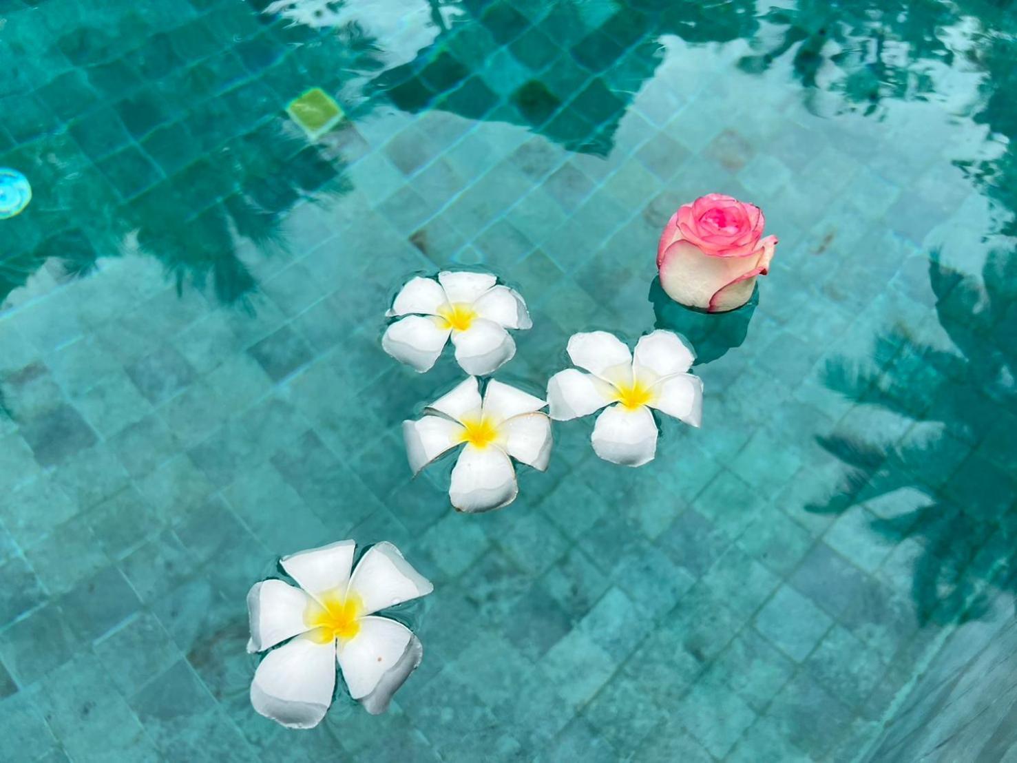 Chill Lay Resort Donsak Don Sak 외부 사진